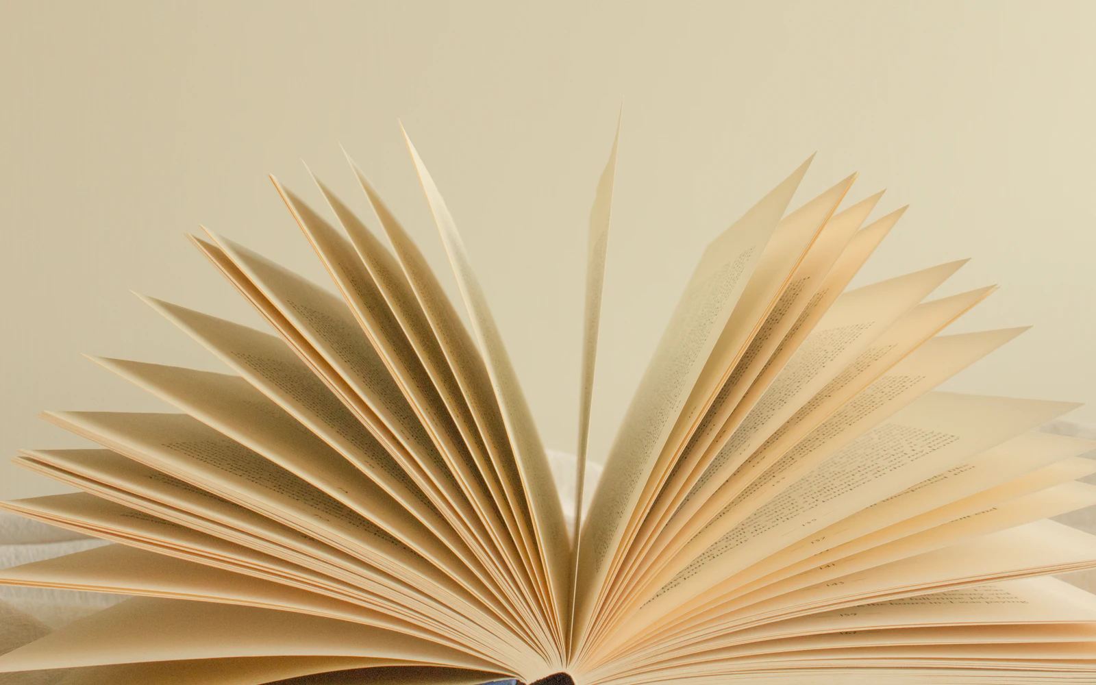 An open book with fanned pages against a plain light background