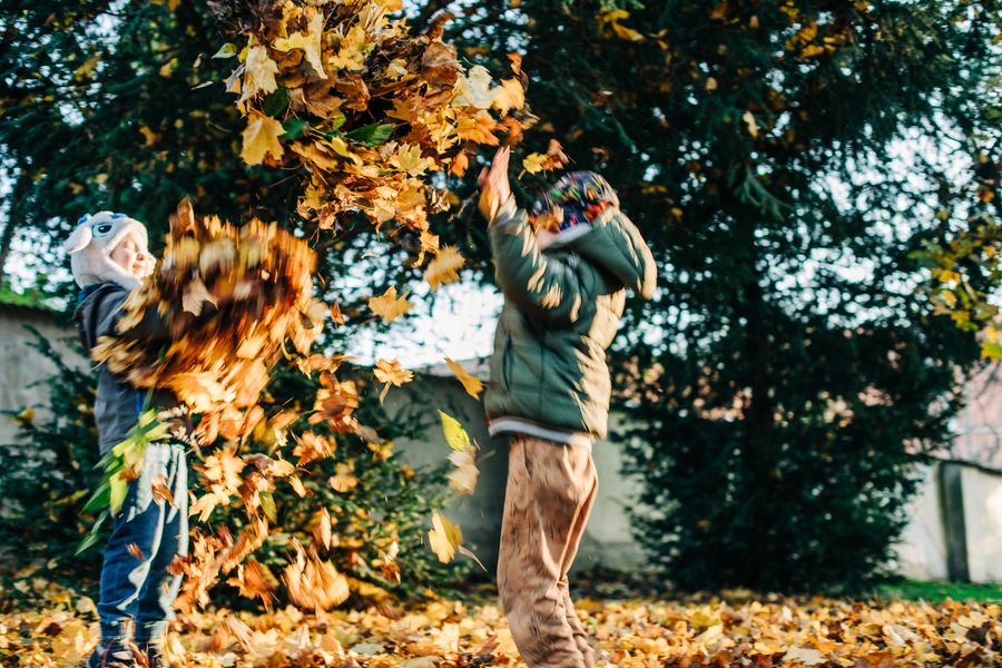 Two children toss armfuls of golden autumn leaves into the air in a sunlit garden under dark evergreen trees, one in an owl-eared hat.