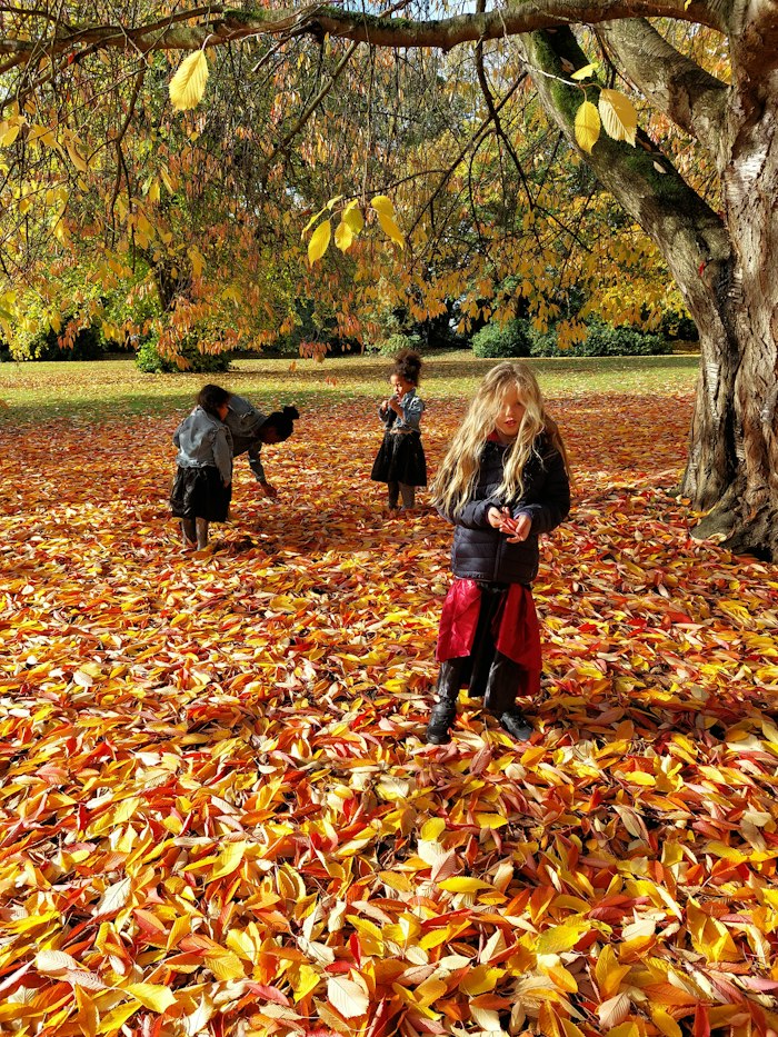 A small girl in a dark jacket and red skirt stands in a carpet of fallen orange leaves under golden autumn trees, with other children playing further back.