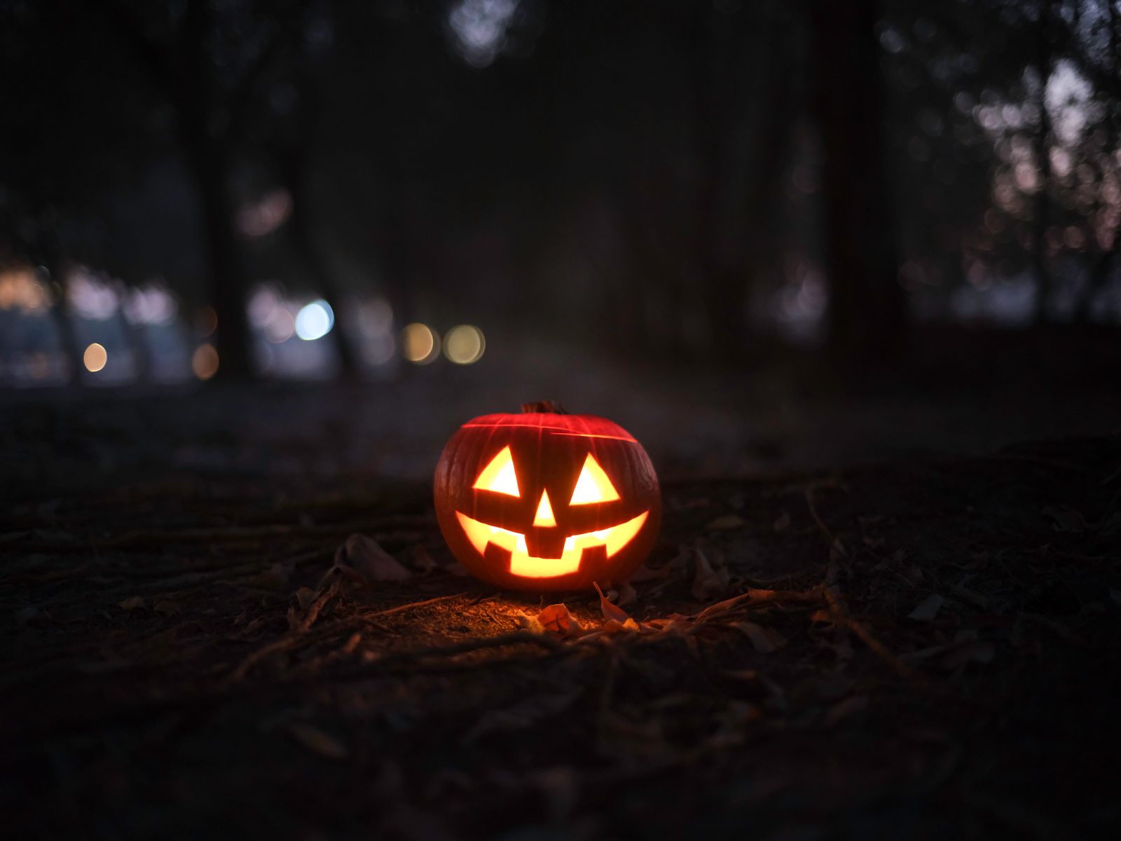 A glowing jack-o'-lantern sits on the leaf-strewn ground of a dim forest at dusk, with blurred trees and soft lights behind it.