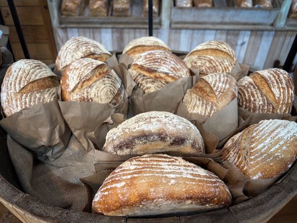 Round scored sourdough loaves standing in brown paper bags in a big wooden basket lined with burlap.