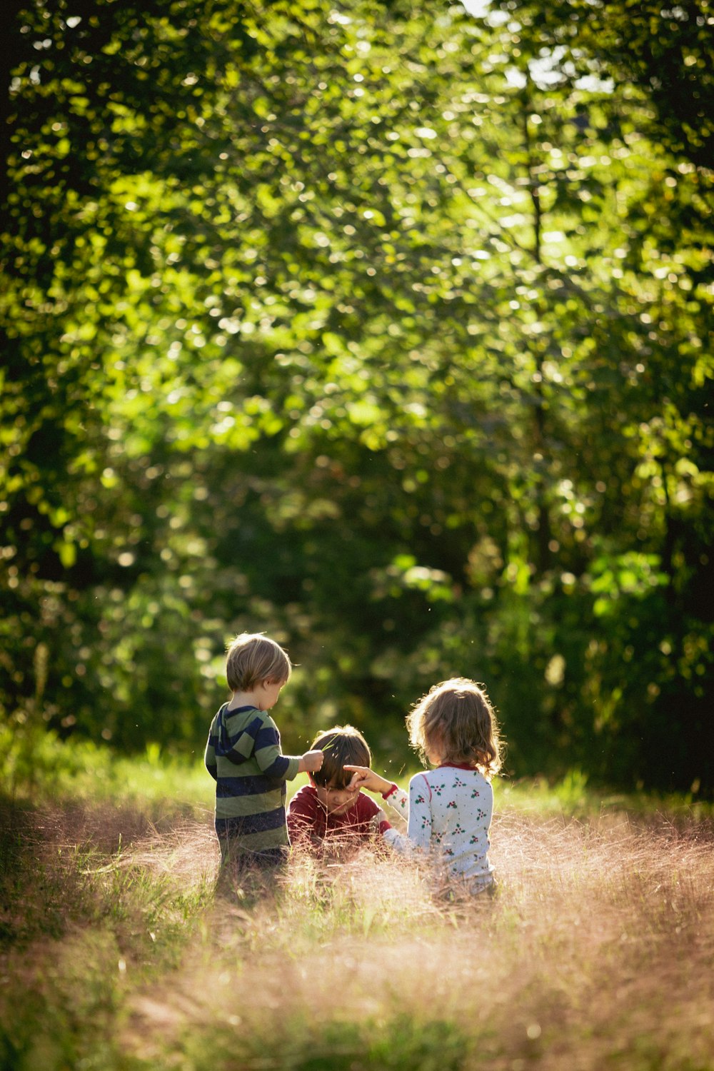 Three small children seen from behind sitting together in golden meadow grass in front of a backlit tree canopy.