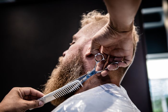 A barber trimming a ginger beard with thinning scissors and a comb while the client sits under a clear cape.