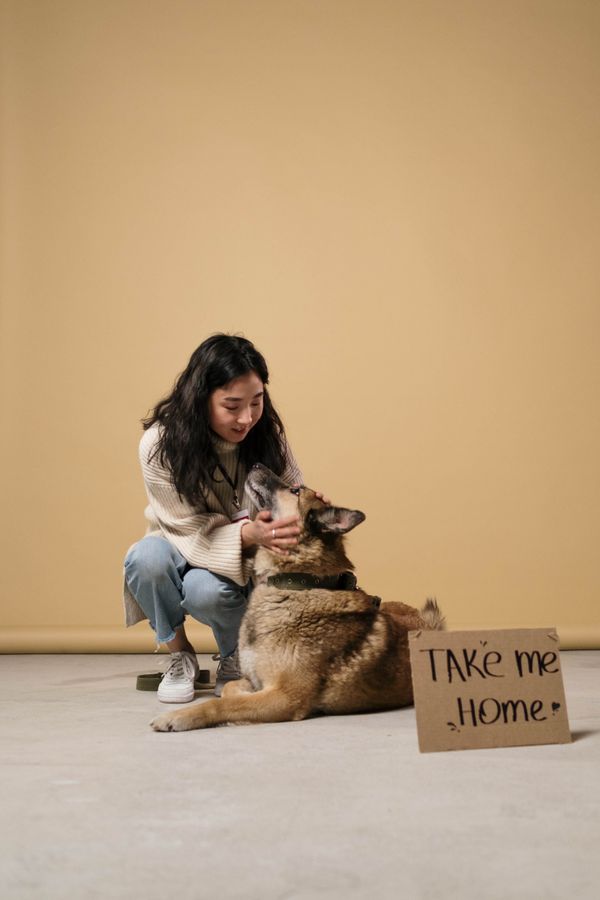 A woman kneels to hug a dog wearing a Take Me Home sign.