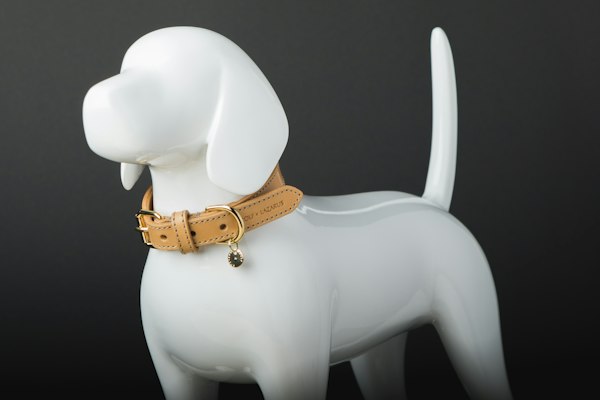 A tan leather collar on a white dog figurine in a studio shot.
